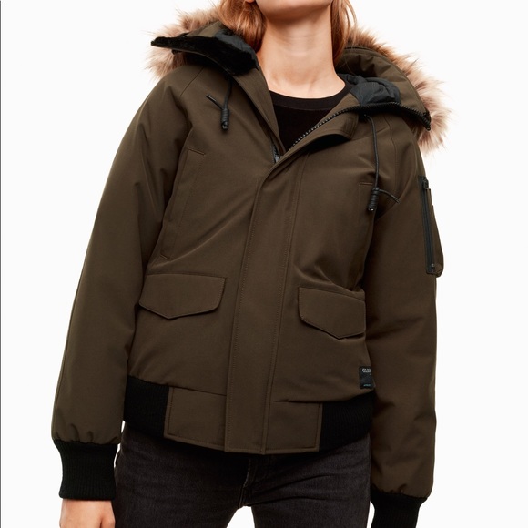 Aritzia Jackets & Blazers - Golden by TNA Denali Parka
